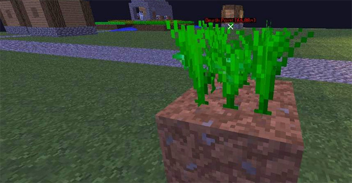 25 Best Food In Minecraft 2024 Carrot