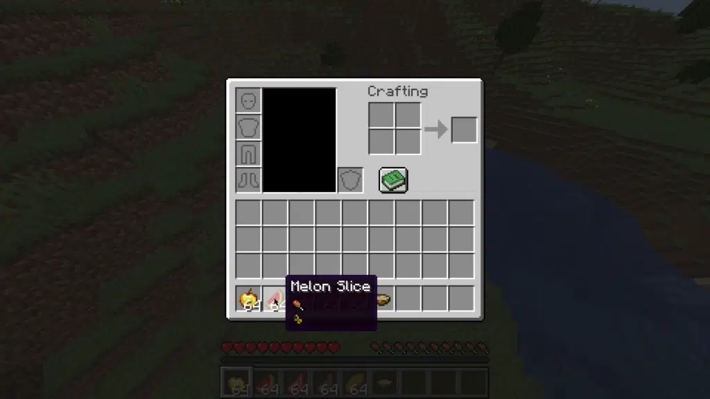 20 Best Minecraft Fabric Mods 2024 Appleskin