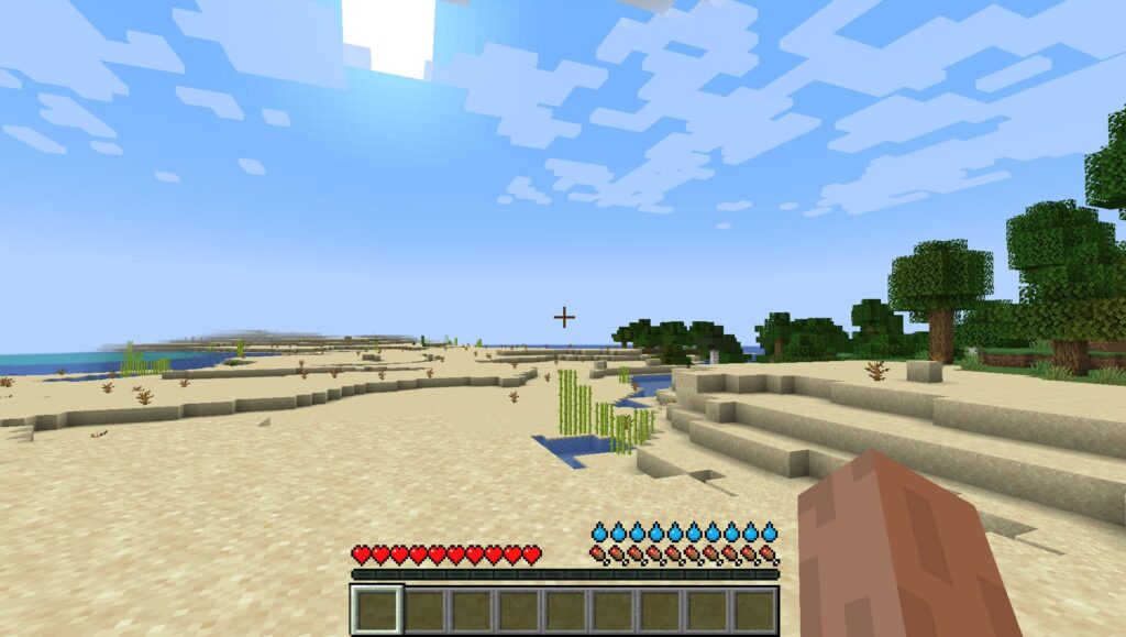 20 Best Minecraft Fabric Mods 2024 Dehydration