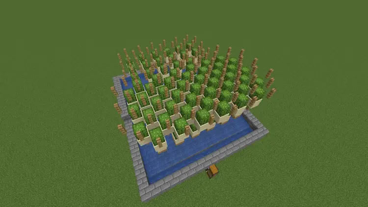 20 Best Minecraft Farms Ideas 2024 Cactus Farm