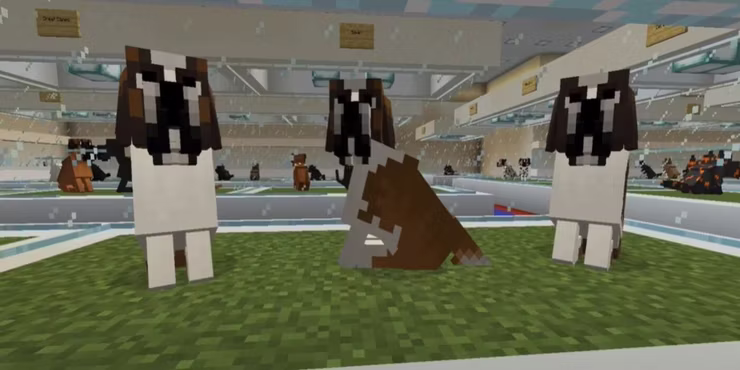 30 Best Minecraft Texture Packs 2024 Better Dogs