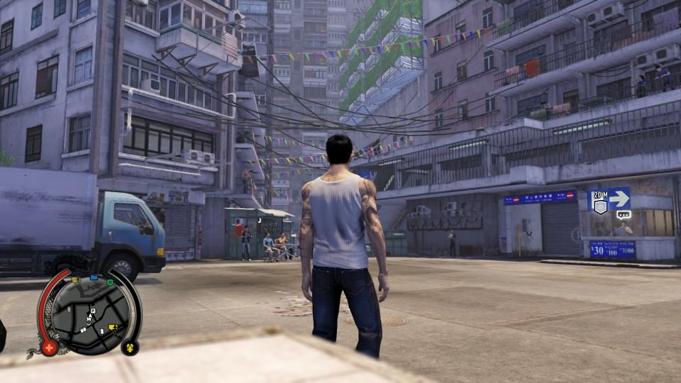 Sleepings Dogs