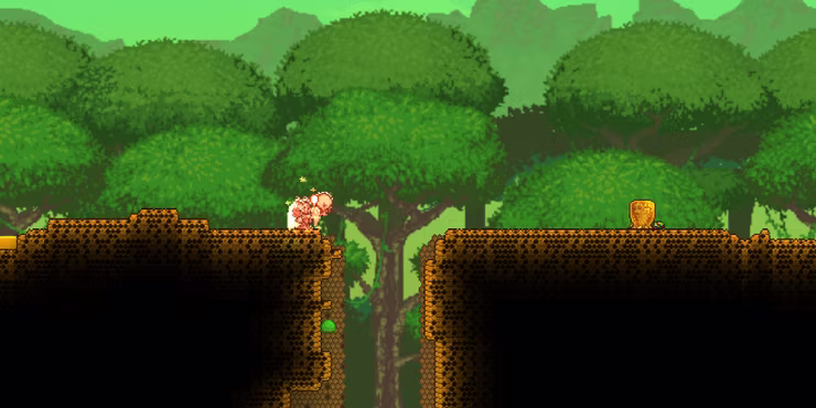 20 Best Terraria Seeds 2024 Not The Bees