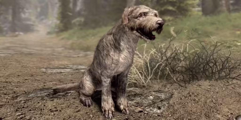 25 Best Followers In Skyrim Barbas