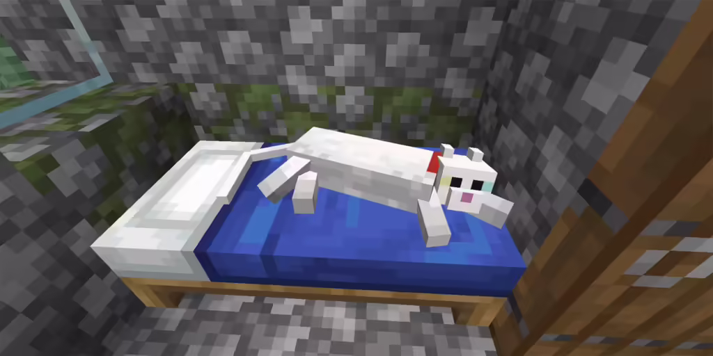 How To Tame A Cat In Minecraft