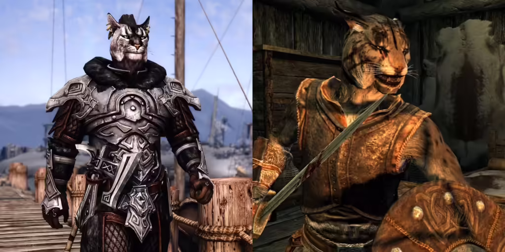 Skyrim Every Playable Race Explained Kajit