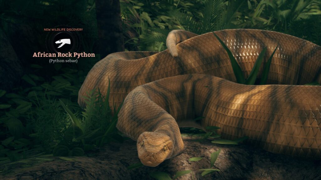 10 Best Snakes In Video Games African Rock Phyton