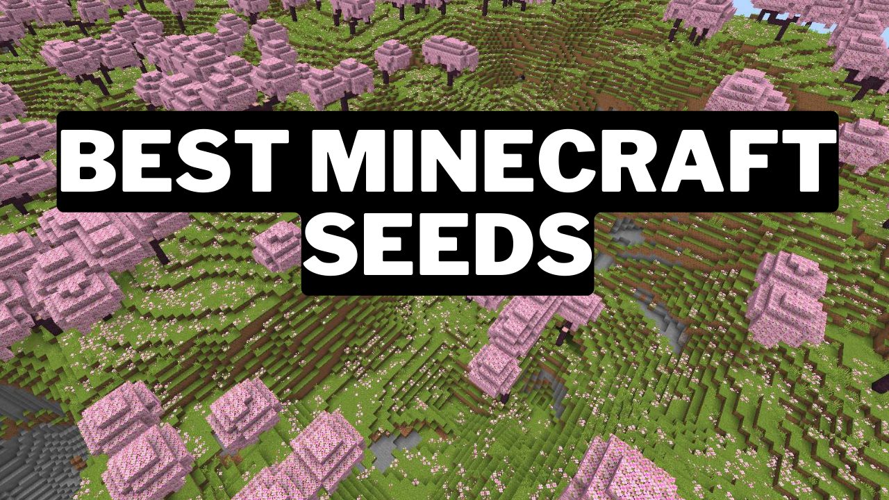 40 Best Minecraft Seeds Ultimate List (2024) Gamerode