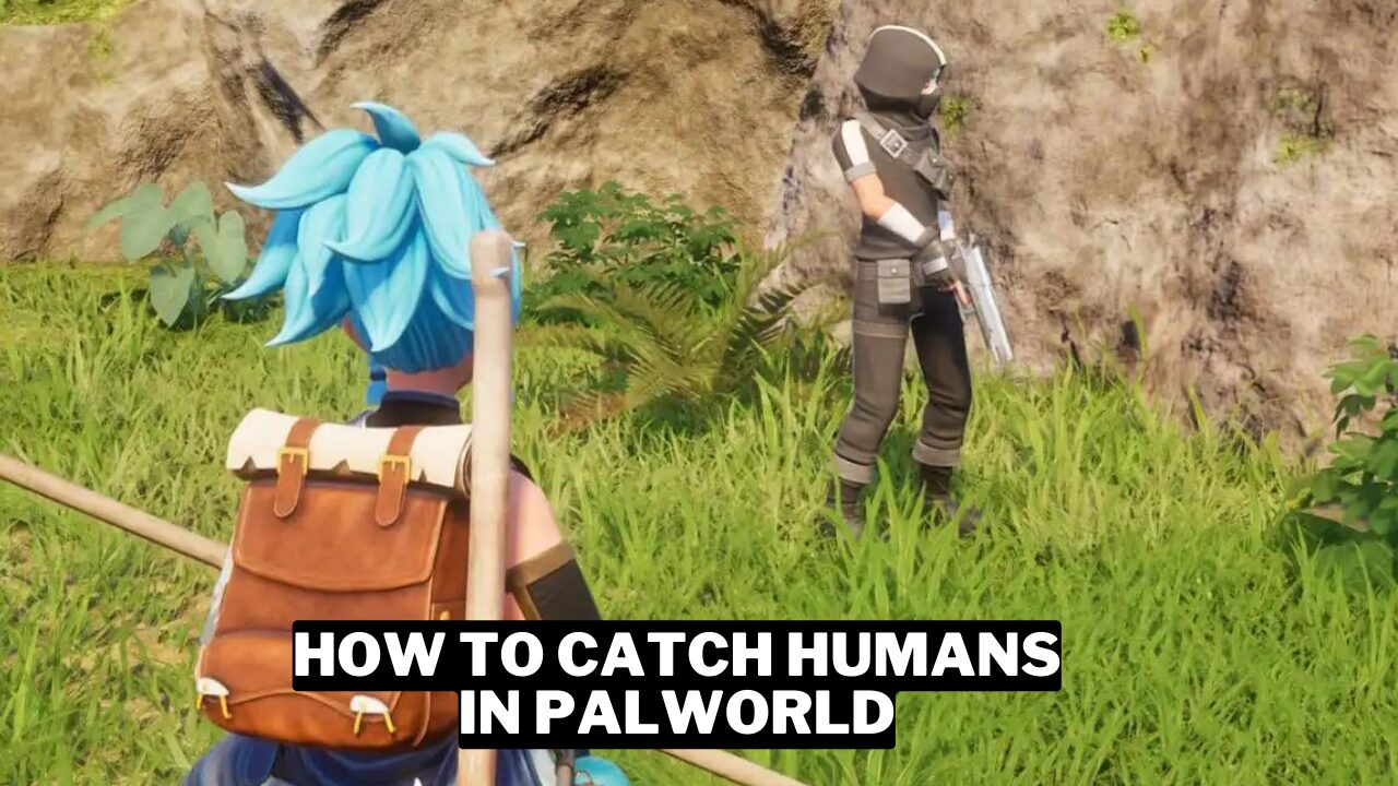 How To Catch Humans In Palworld Gamerode