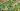 Gardenscapes Cheats Gamerode