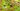 Hay Day Cheats Gamerode (1)